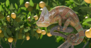 Caméléon Voilé