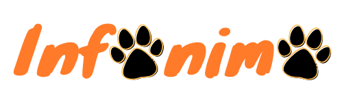 Infonimo